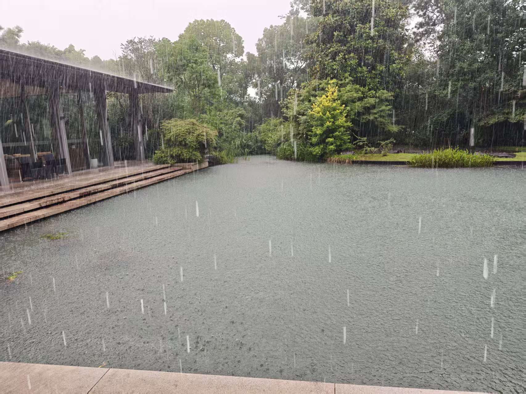 雨点落在池塘水面,岸边分布树木与廊道