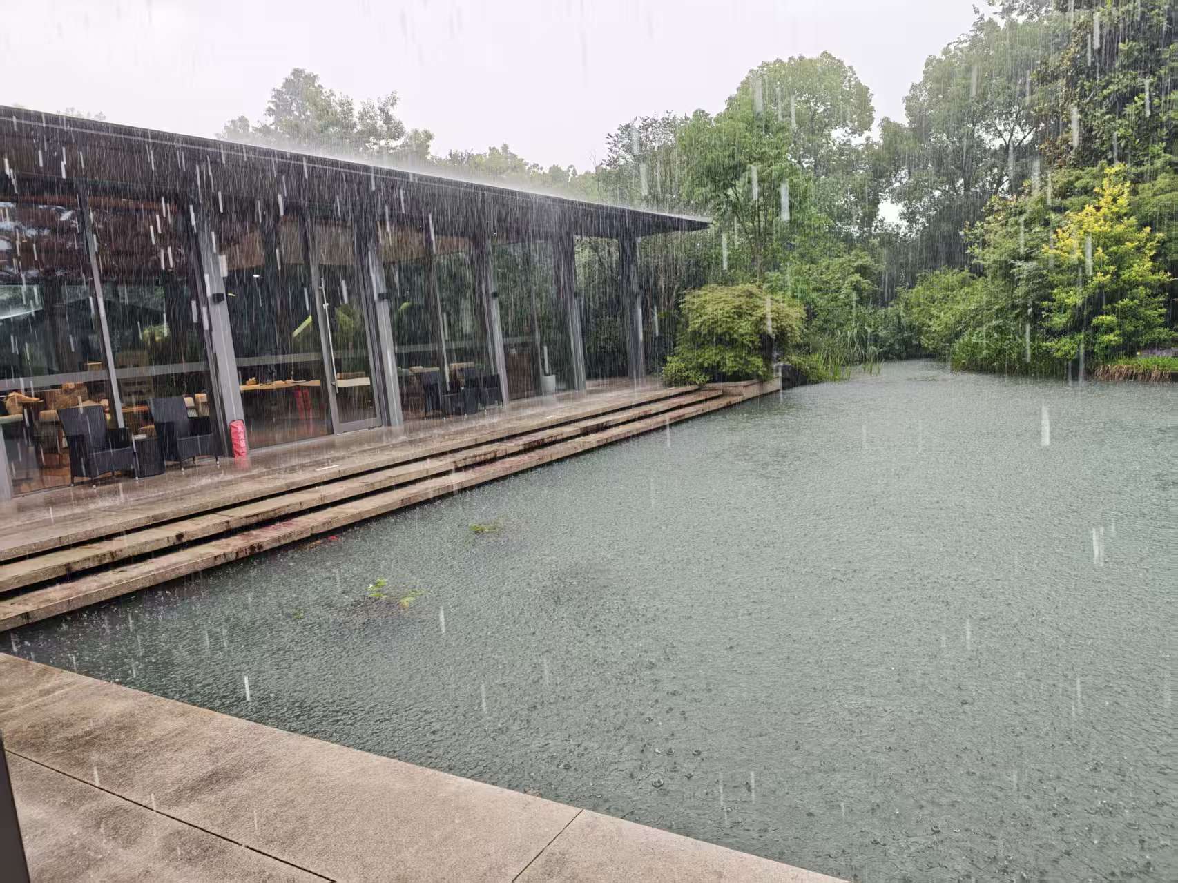 雨点落在池塘水面,岸边分布树木与廊道