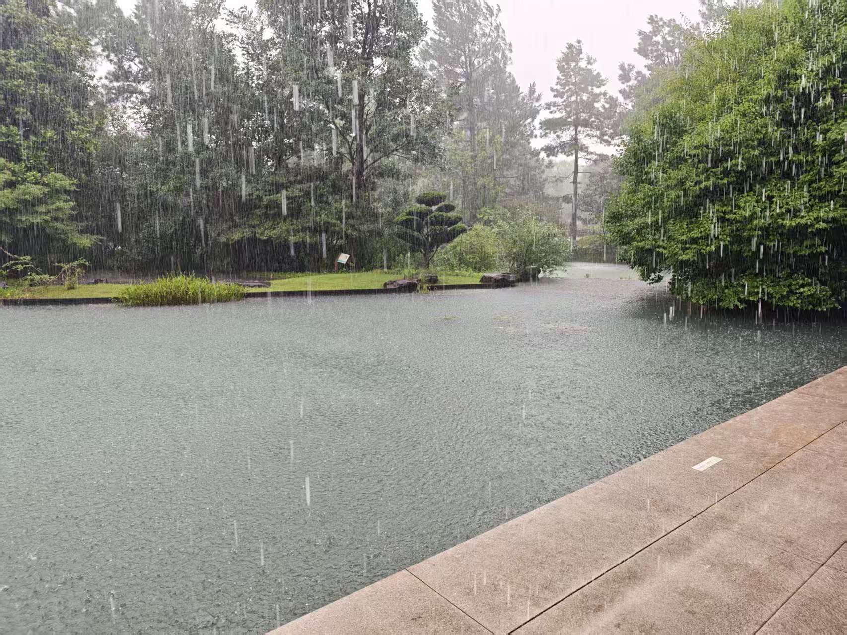 雨点落在池塘水面,岸边分布树木与廊道