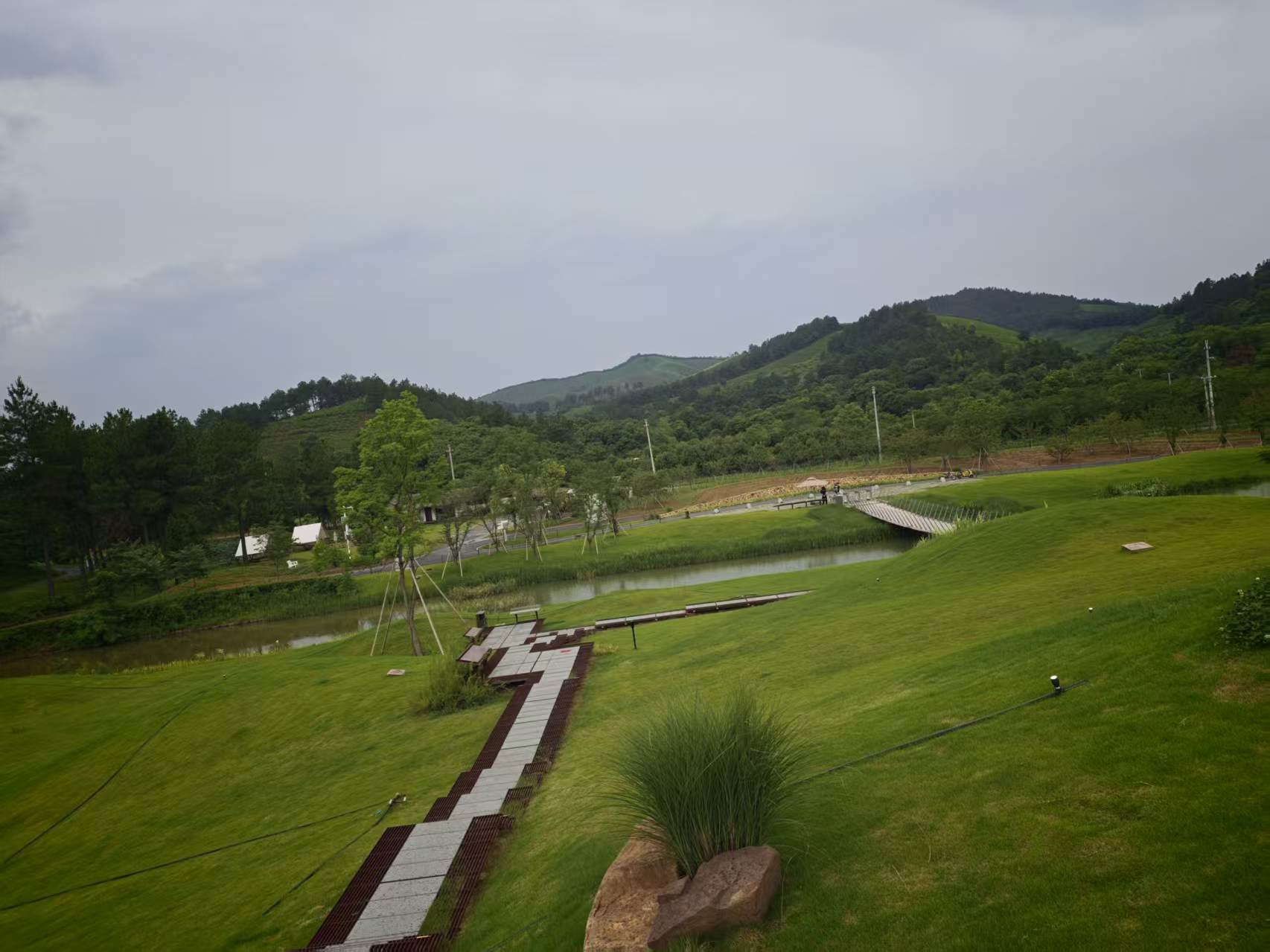 草地间的阶梯步道与池塘远景