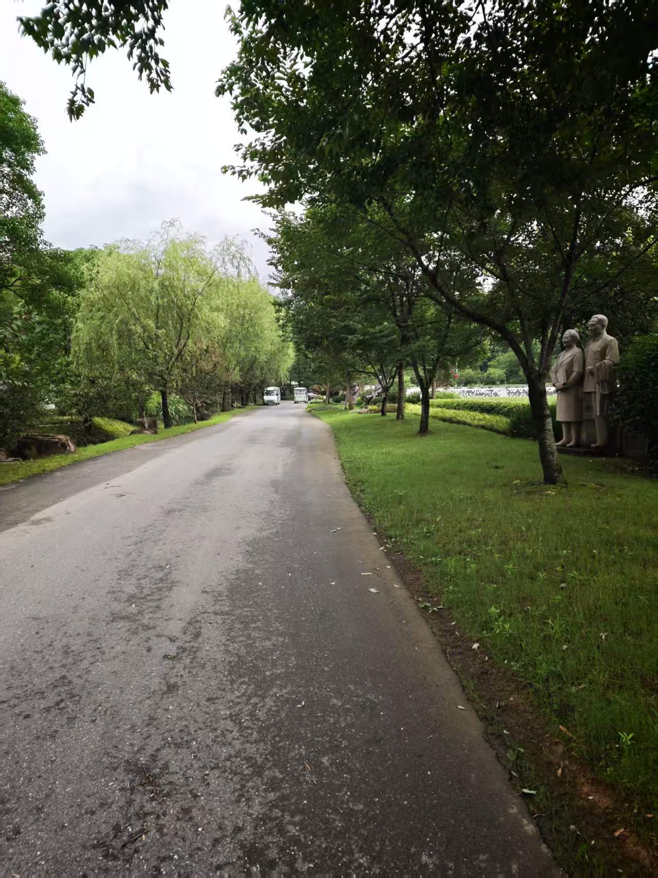 上海家庭问起安吉龙山源：异地纪念，先想清楚这一处习惯差异